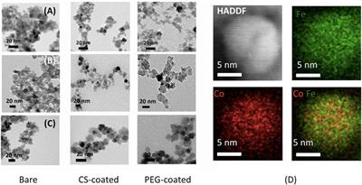 Comparative Study of Specific Loss Power and Transverse Relaxivity of Spinel Ferrite Nanoensembles Coated With Chitosan and Polyethylene Glycol